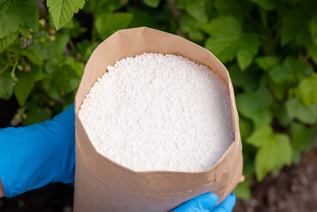 paper bag with fertilizer against bush of currant in the garden. fertilizing plants in garden concept